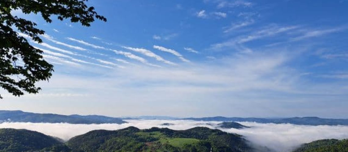 Pogled na vas s cerkvijo s hriba, v dolini za vasjo